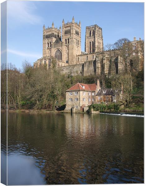 Durham Cathedral Canvas Print by Dave Parkin