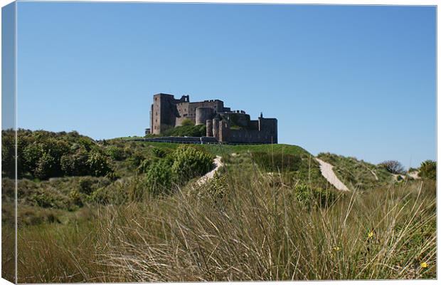 Bamburgh Castle Canvas Print by Dave Parkin