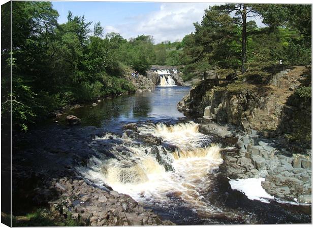 Low Force Canvas Print by Dave Parkin