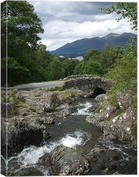 Ashness Bridge Canvas Print by Dave Parkin