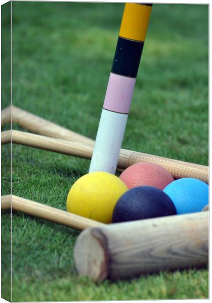 Croquet on the Lawn Canvas Print by Robin Lodge