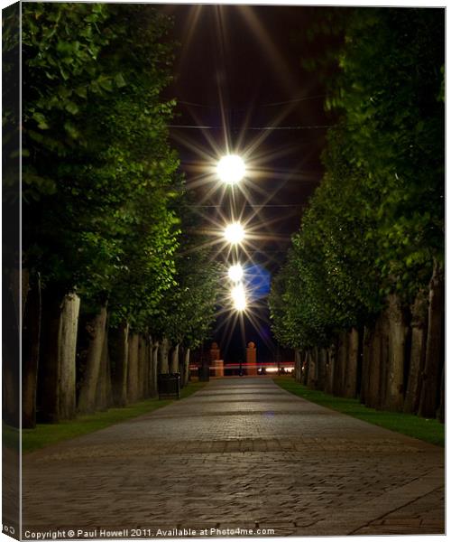 Night Time Trees Canvas Print by Paul Howell