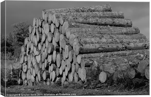 the wood pile Canvas Print by terrylee davis