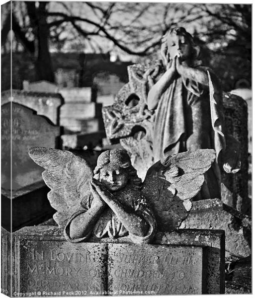 Fallen Angel Canvas Print by Richard Peck