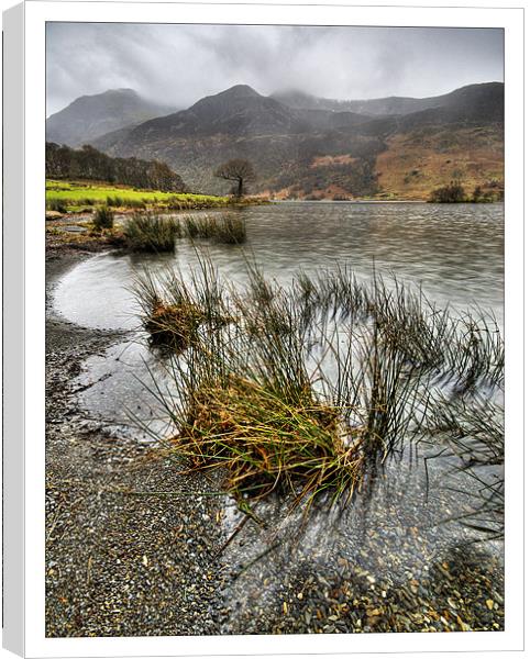 Wet Day in the Lakes Canvas Print by Richard Peck