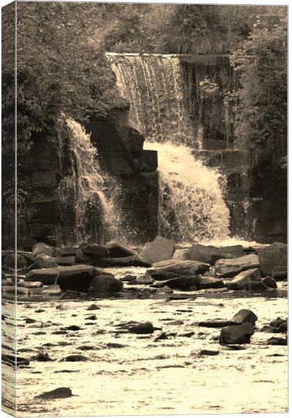 Graig - Neddfwch Falls. Canvas Print by Becky Dix