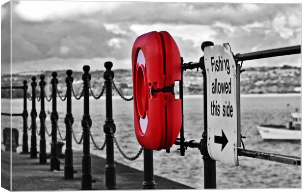 Oh Bouy!! Canvas Print by Becky Dix