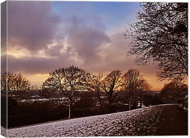 Snow at dusk. Canvas Print by Becky Dix