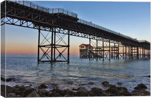 Under the Pier 3. Canvas Print by Becky Dix