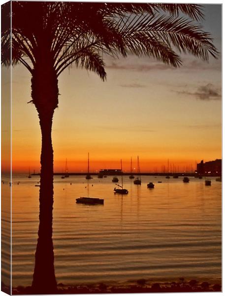 Sunset in Ibiza Canvas Print by Becky Dix