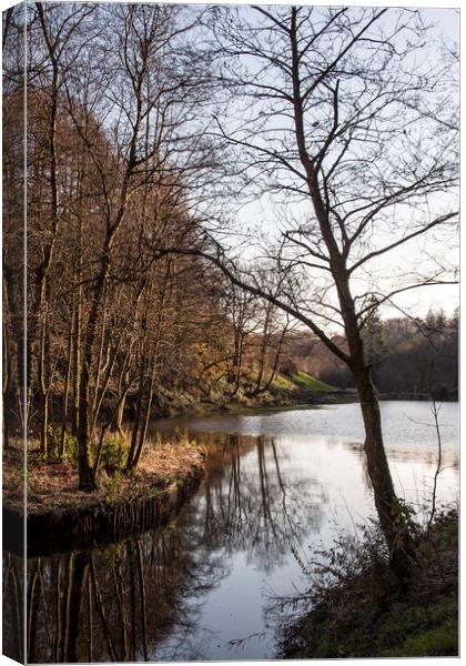  Penllergaer Lake. Canvas Print by Becky Dix