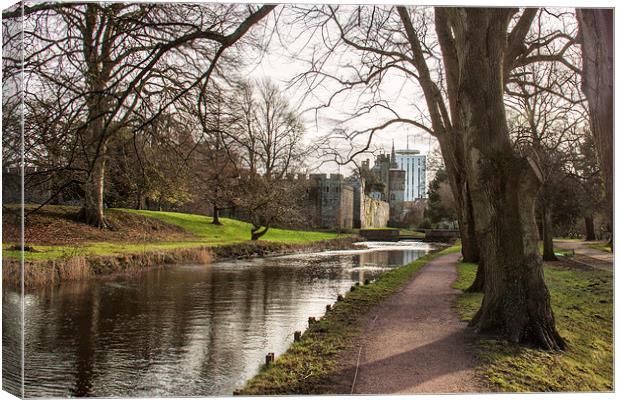  Along the Taff. Canvas Print by Becky Dix