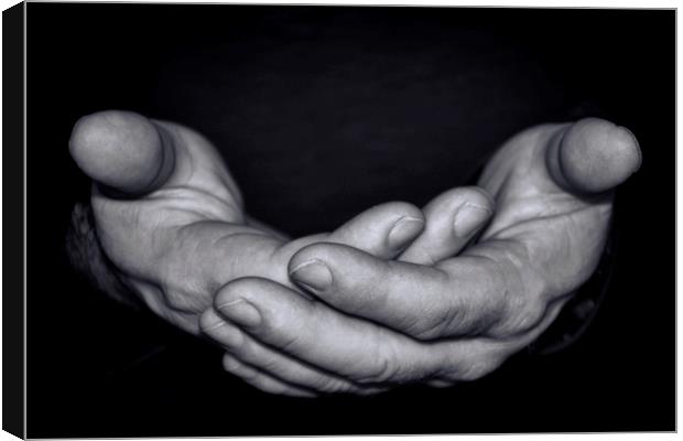  Hands. Canvas Print by Becky Dix