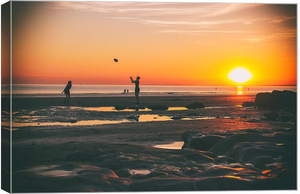 Fun in the Sun. Canvas Print by Becky Dix