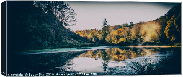 Penllergare Woods Reflections. Canvas Print by Becky Dix