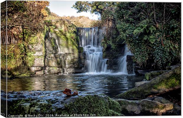 Penllergare Waterfall. Canvas Print by Becky Dix