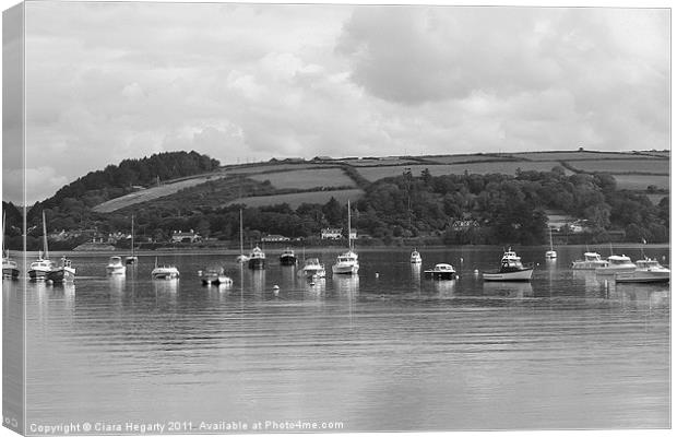 pleasure boats Canvas Print by Ciara Hegarty