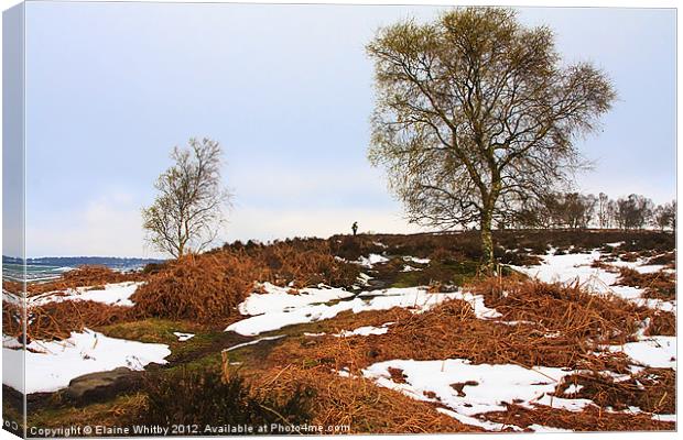 Birchen Edge Derbyshire Canvas Print by Elaine Whitby