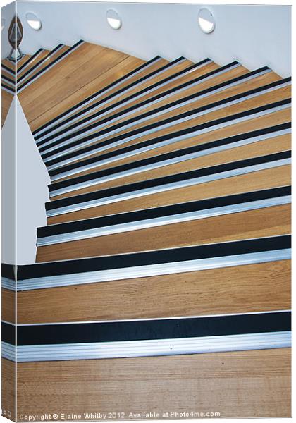 Stairs Leading to the Museum Canvas Print by Elaine Whitby