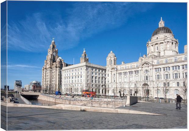 livebirds Building Liverpool Canvas Print by Elaine Whitby