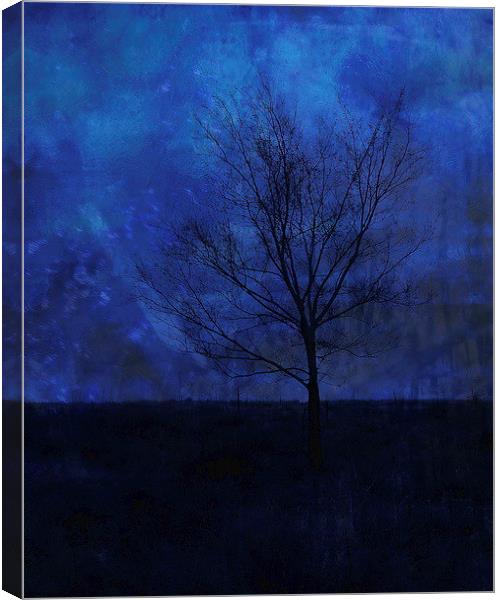Lonely with the Blues Canvas Print by Tammy Winand