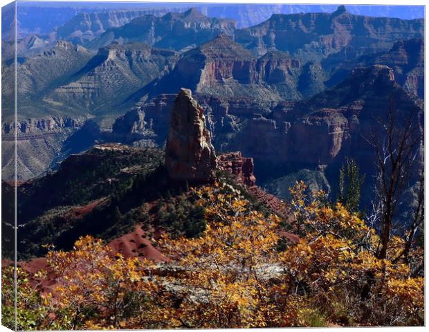 Point Imperial Grand Canyon North Rim Autumn  Canvas Print by Tammy Winand