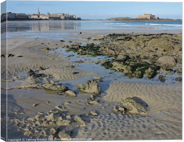 Low Tide on the Coast of St Malo France Canvas Print by Tammy Winand