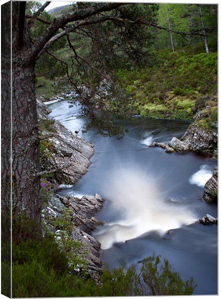 Water in motion Canvas Print by Kraig Phillips