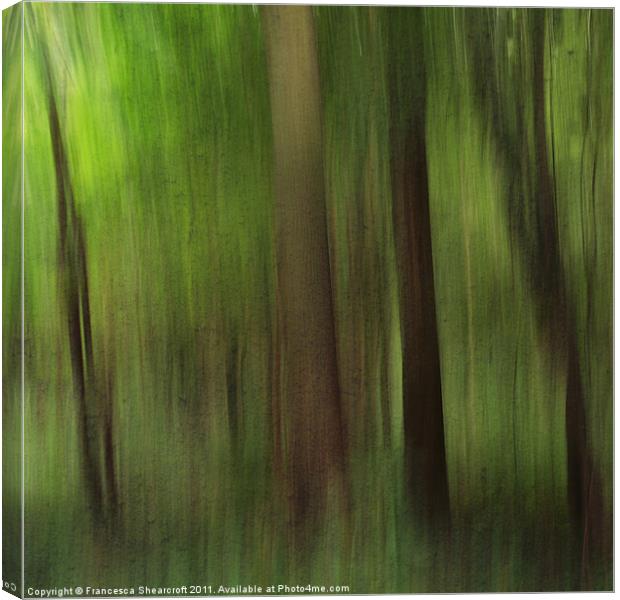 Woods Canvas Print by Francesca Shearcroft