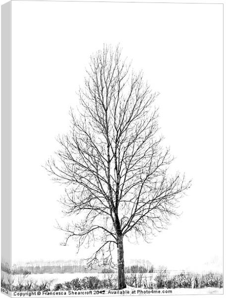 A tree in winter Canvas Print by Francesca Shearcroft