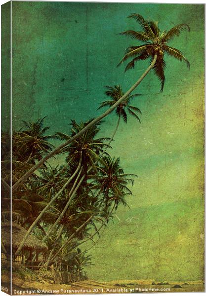 Tropical Vestige Canvas Print by Andrew Paranavitana