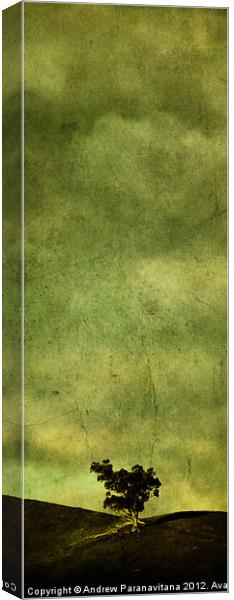 Chartreuse Canvas Print by Andrew Paranavitana