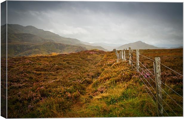 In the Scottish Highlands Canvas Print by Dorit Fuhg