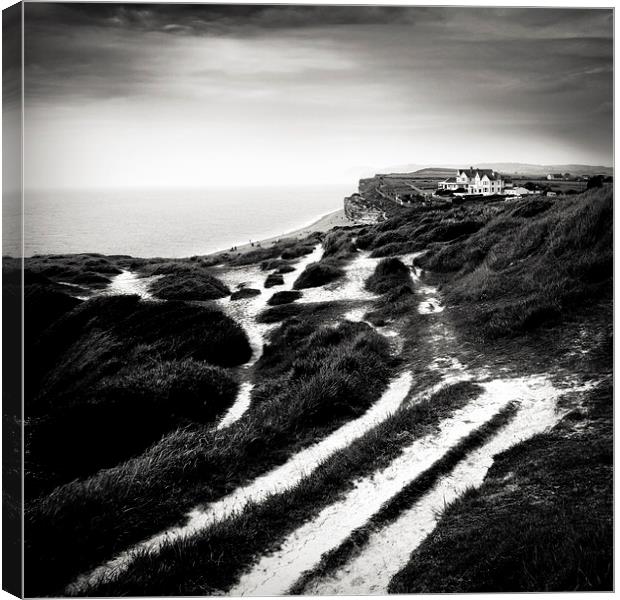 Burton Bradstock coastal path Canvas Print by Dorit Fuhg