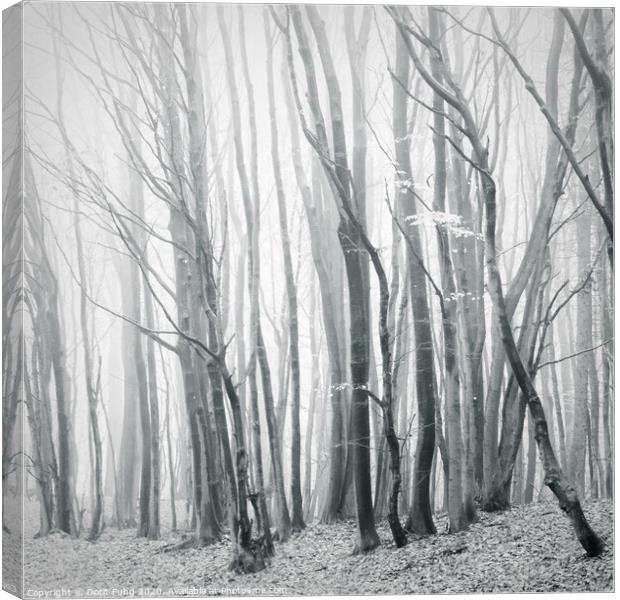Fog in the Forest II Canvas Print by Dorit Fuhg
