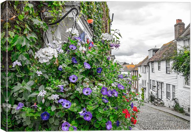 Colourful Rye Canvas Print by Richard Thomas