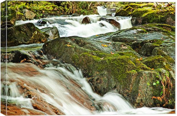 Fast Flow Canvas Print by Richard Thomas