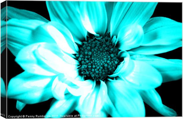 vivid blue chrysanthemum Canvas Print by Elouera Photography