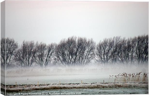misty trees at nene washes Canvas Print by Elouera Photography
