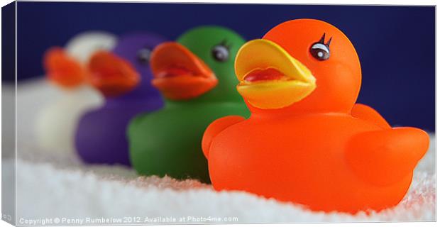 four colourful ducks Canvas Print by Elouera Photography