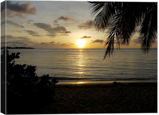 Fiji Sunset Canvas Print by Claire Clarke