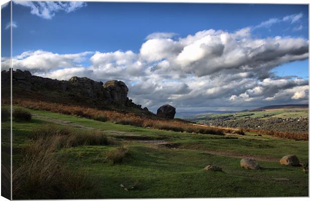 ilkley. moor .cow. and. calf. rocks. west.. yorksh Canvas Print by simon sugden