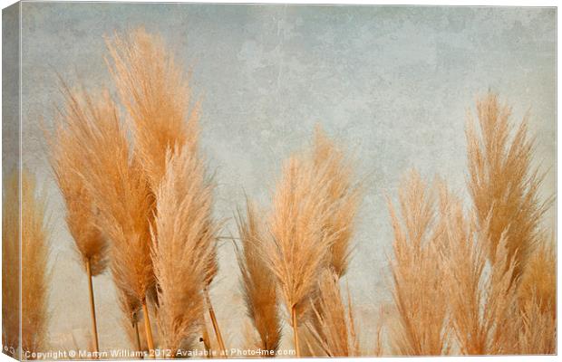 Pampas Grass Canvas Print by Martyn Williams