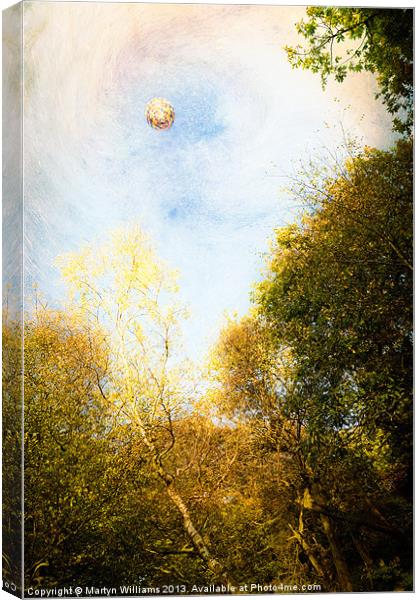 Hot Air Balloon Canvas Print by Martyn Williams