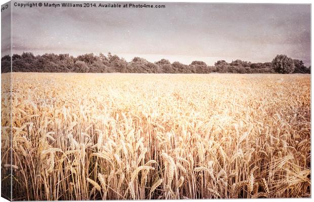 Wheat Field, Nottinghamshire Canvas Print by Martyn Williams