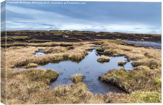 Kinder Scout Moorland Bog Canvas Print by Martyn Williams