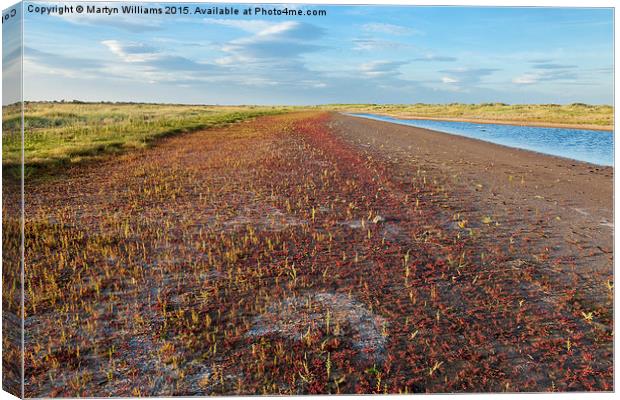 Gibraltar Point, Lincolnshire Canvas Print by Martyn Williams