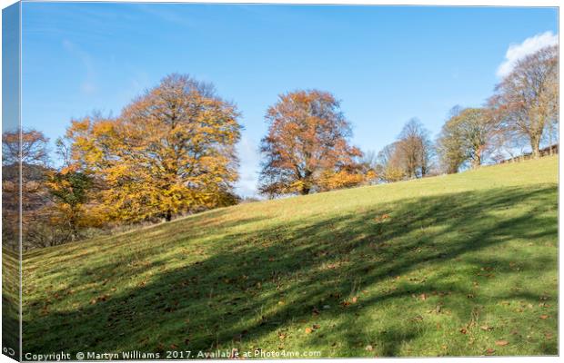 Autumn Light, Bamford, Derbyshire Canvas Print by Martyn Williams