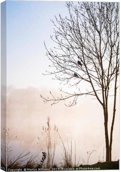 Two Birds, Misty Morning Canvas Print by Martyn Williams
