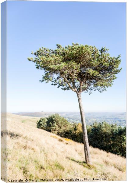 Tree, Back Tor Canvas Print by Martyn Williams